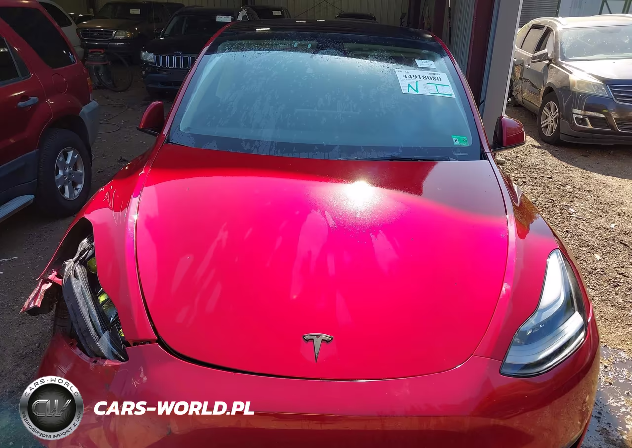 2024 Tesla Model Y Long Range Dual Motor All-Wheel Drive VIN:7SAYGDEE2RF158142 - 10
