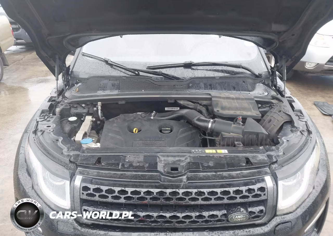2016 Land Rover Range Rover Evoque Se Premium VIN:SALVP1BG0GH110231 - 10