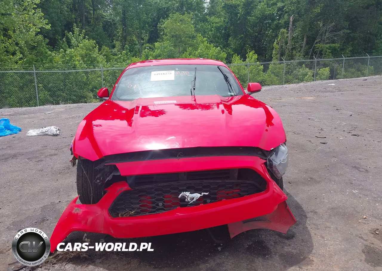 2017 Ford Mustang Ecoboost VIN:1FA6P8TH2H5259468 - 12