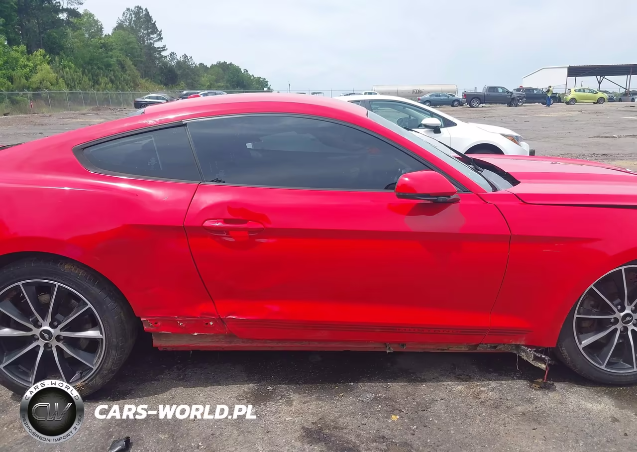 2017 Ford Mustang Ecoboost VIN:1FA6P8TH2H5259468 - 13