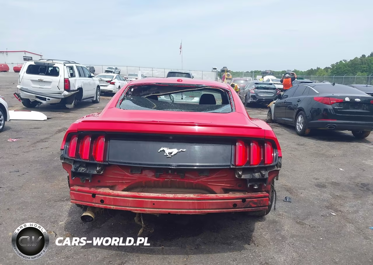 2017 Ford Mustang Ecoboost VIN:1FA6P8TH2H5259468 - 16
