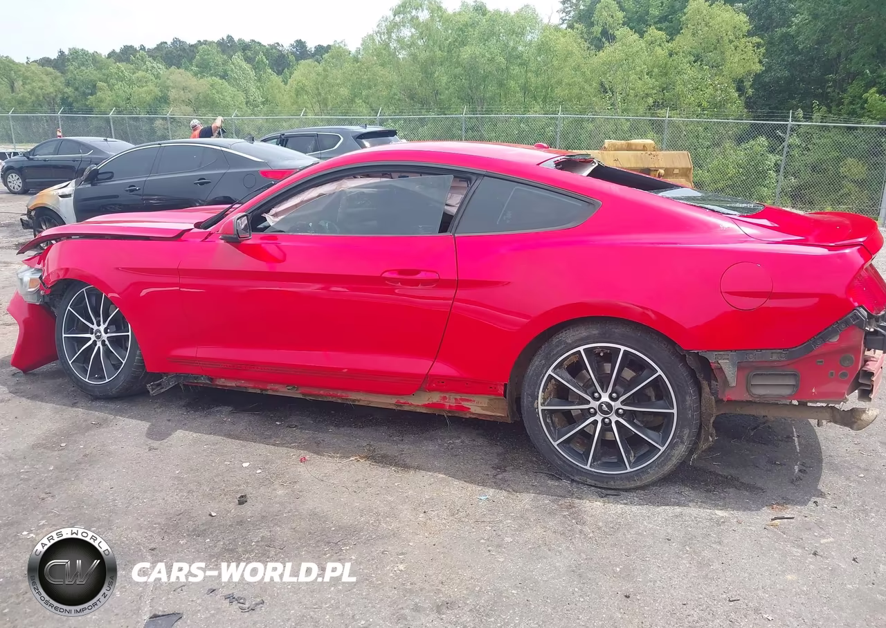 2017 Ford Mustang Ecoboost VIN:1FA6P8TH2H5259468 - 19