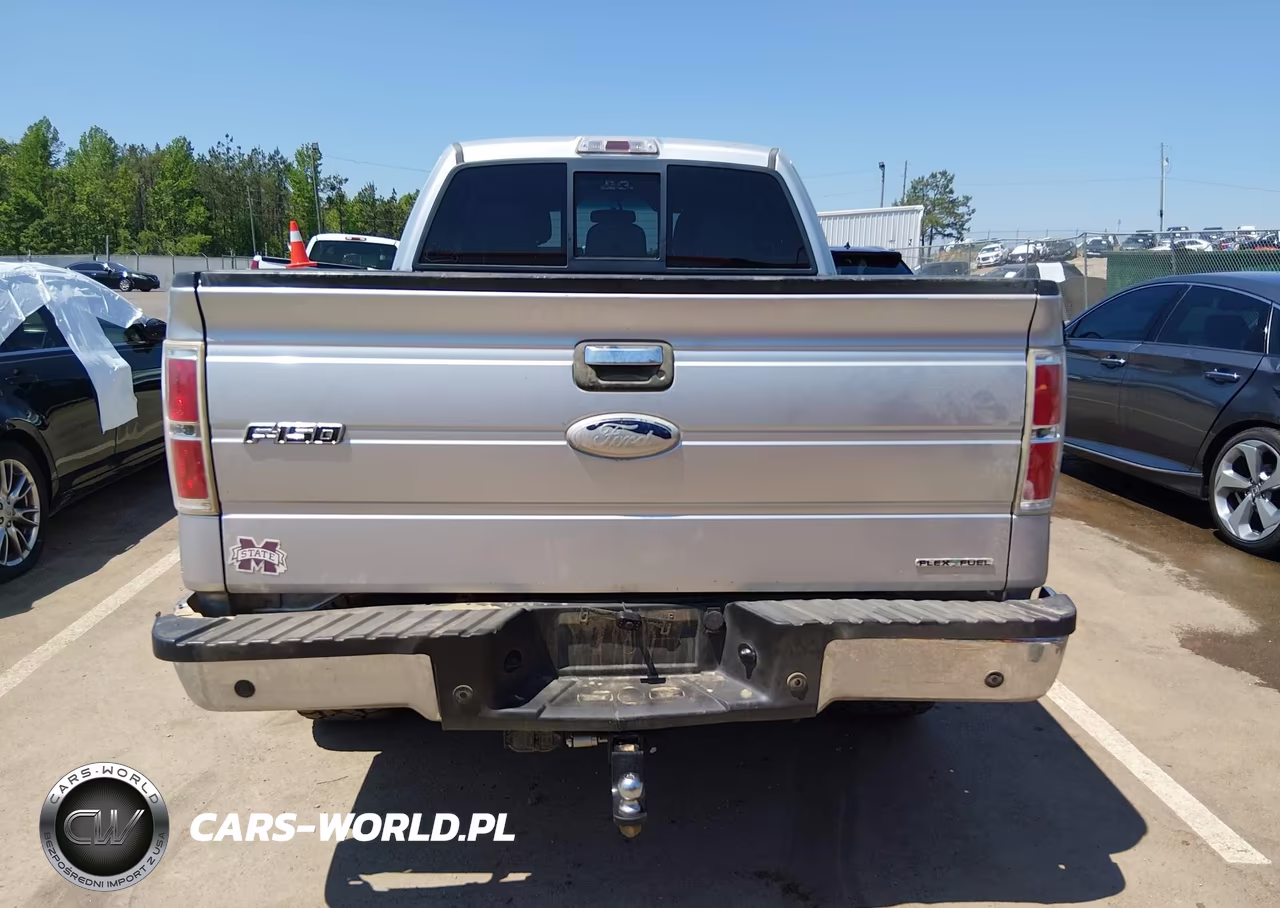 2011 Ford F-150 Xlt VIN:1FTFX1EF2BFD20591 - 20