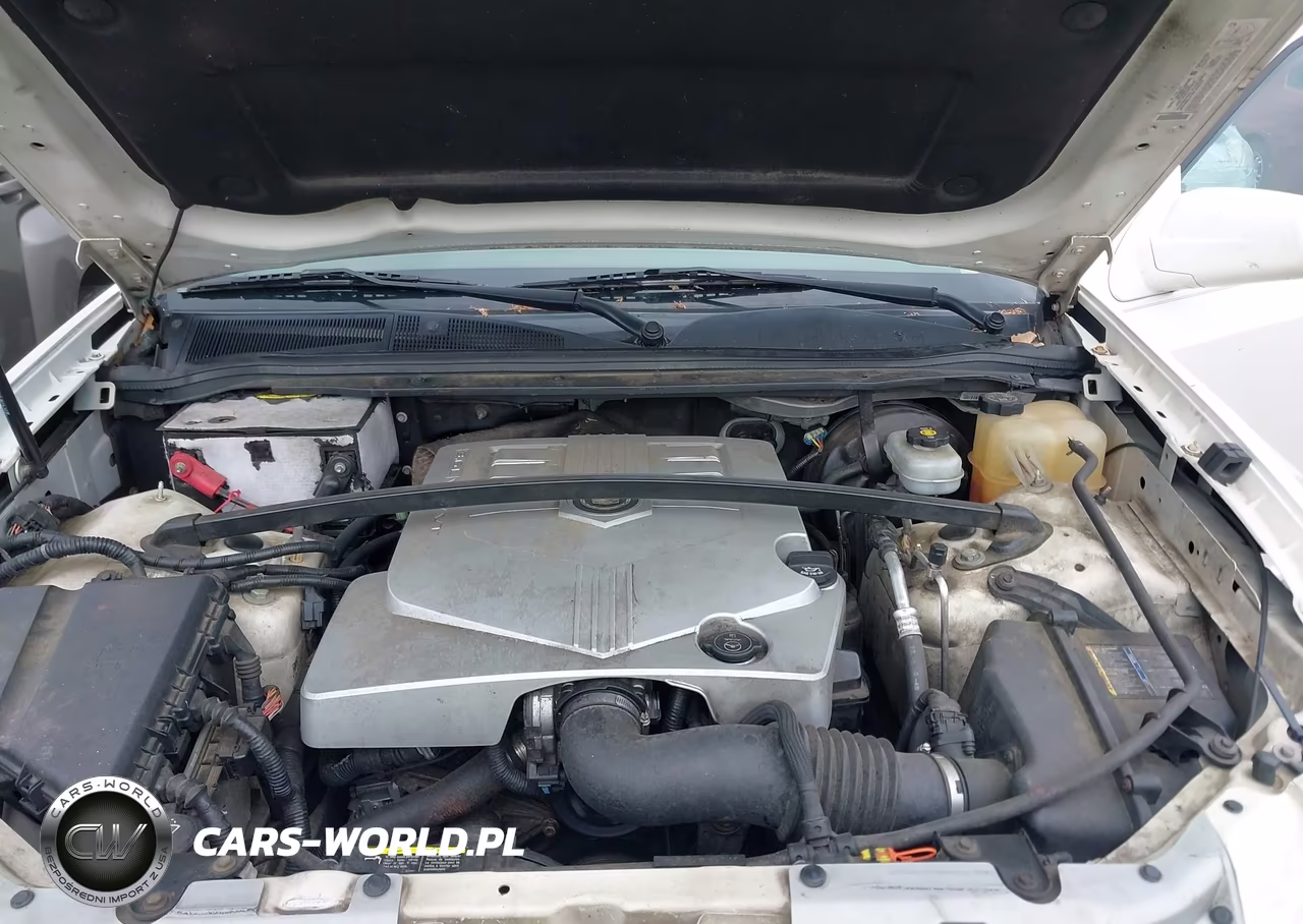 2006 Cadillac Srx V6 VIN:1GYEE637260150259 - 10