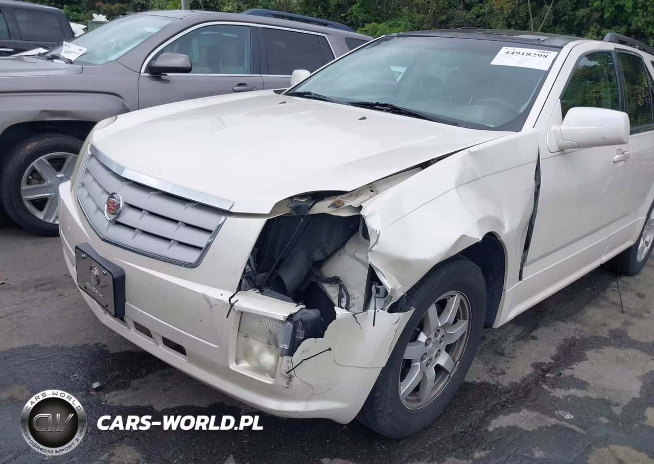 2006 Cadillac Srx V6 VIN:1GYEE637260150259 - 6