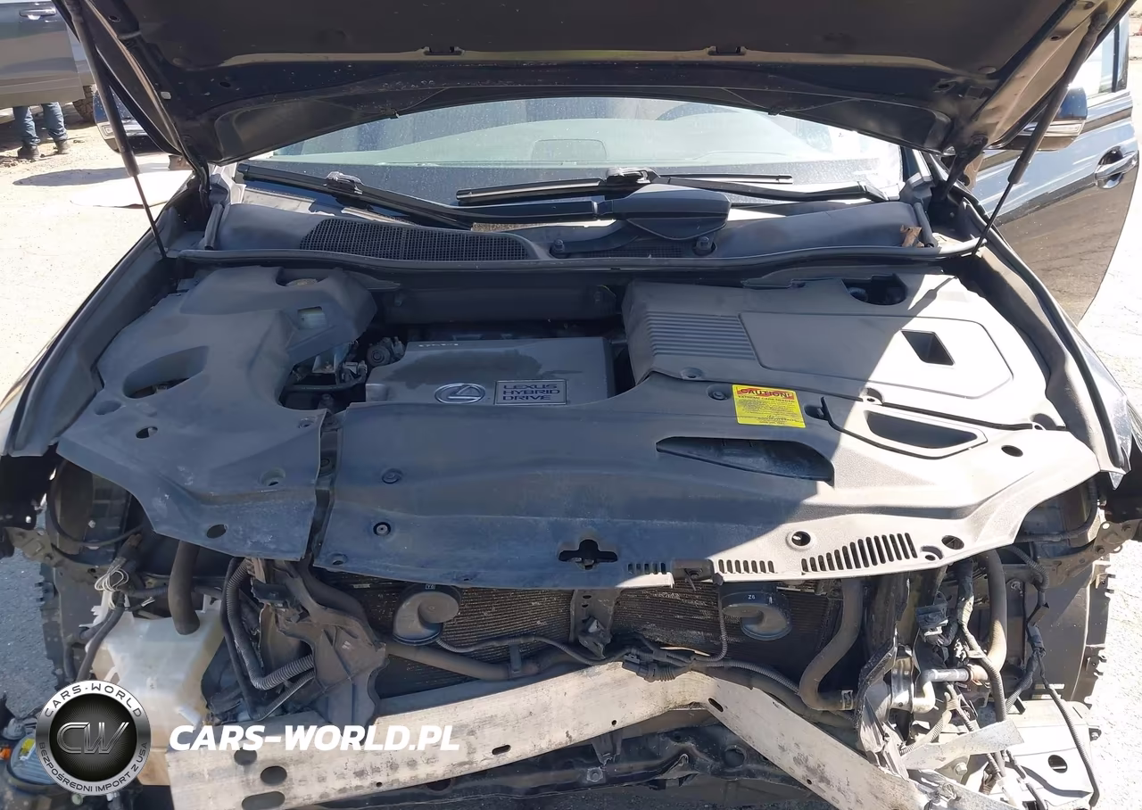 2013 Lexus Rx 450H VIN:JTJBC1BA3D2447702 - 10
