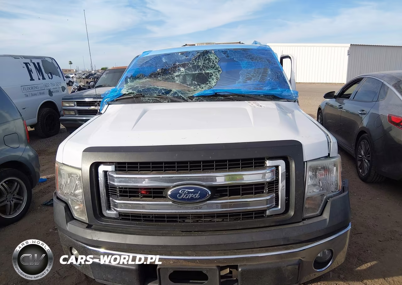 2013 Ford F-150 Xl VIN:1FTMF1CM8DKG20769 - 11