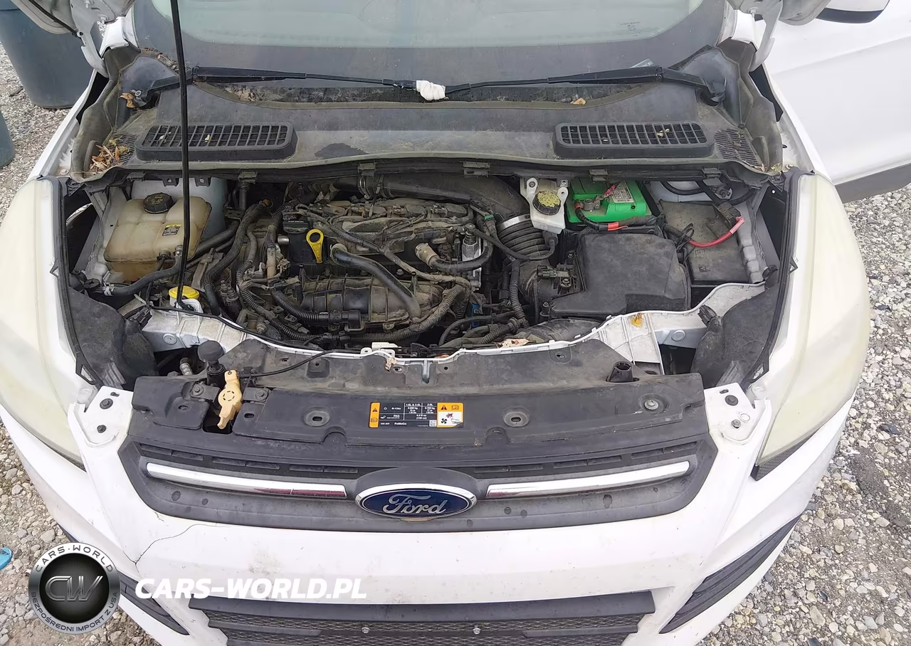 2013 Ford Escape Se VIN:1FMCU0GX5DUA80667 - 10