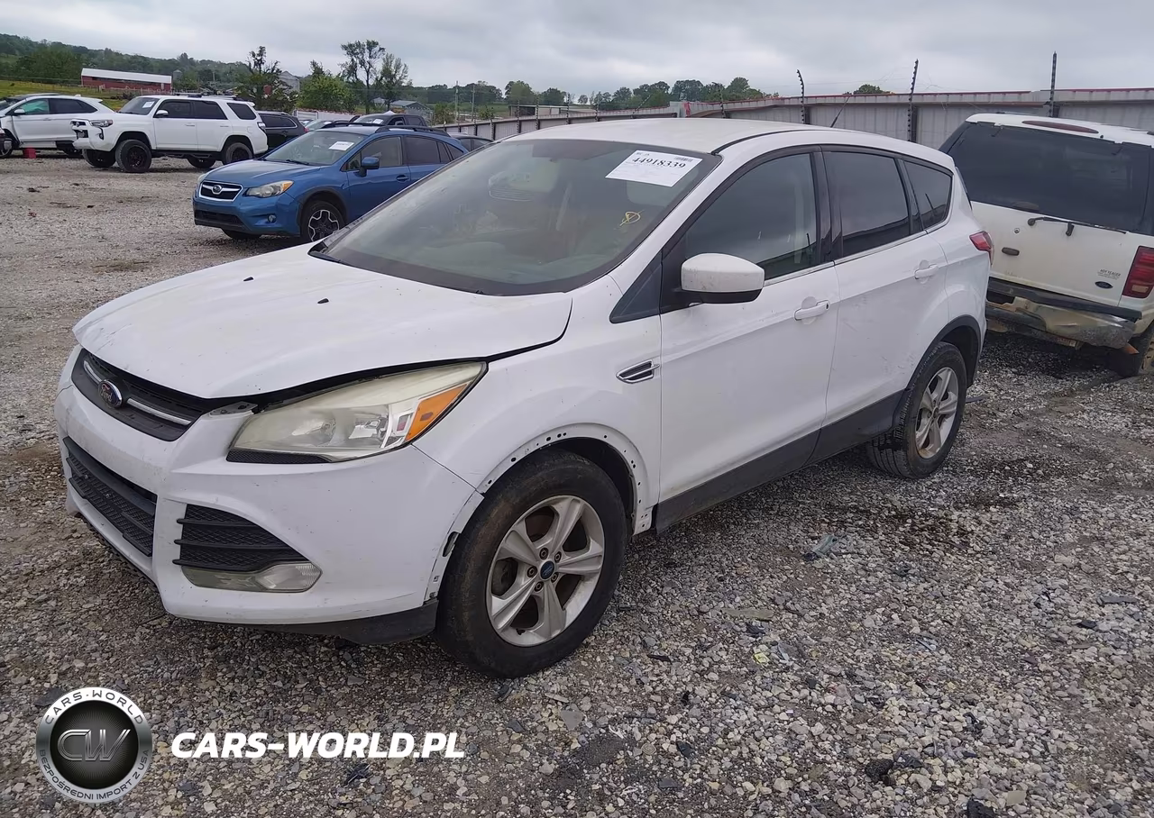 2013 Ford Escape Se VIN:1FMCU0GX5DUA80667 - 2