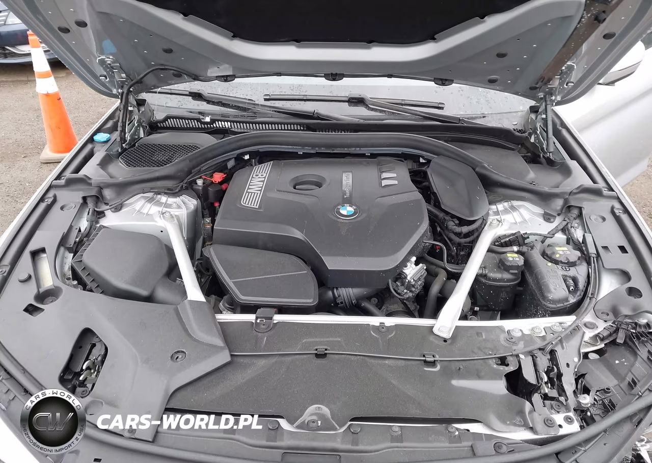 2019 BMW 530I xDrive VIN:WBAJA7C57KWW25350 - 10