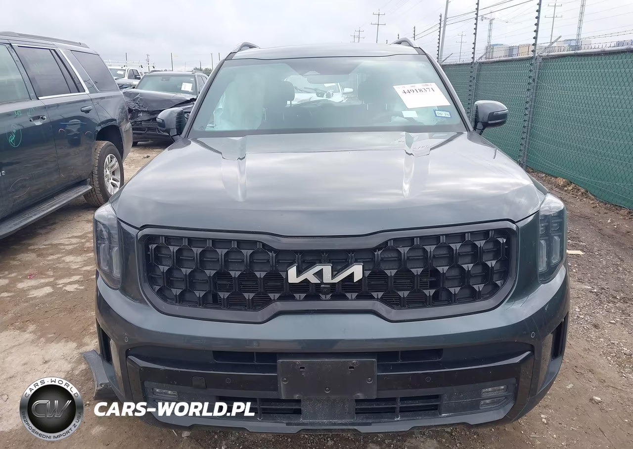 2024 Kia Telluride Sx X-Line VIN:5XYP5DGC2RG532350 - 12