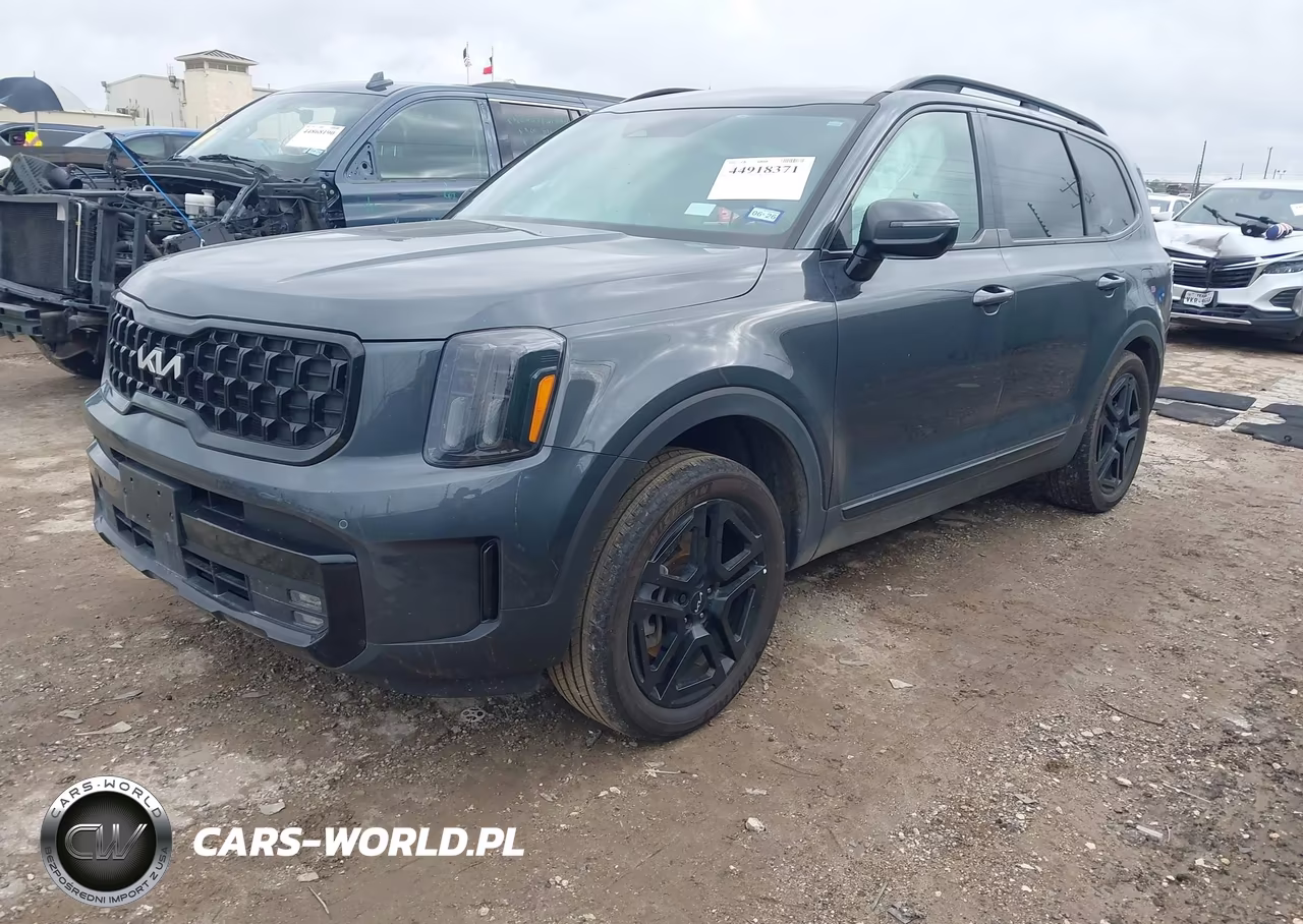 2024 Kia Telluride Sx X-Line VIN:5XYP5DGC2RG532350 - 2