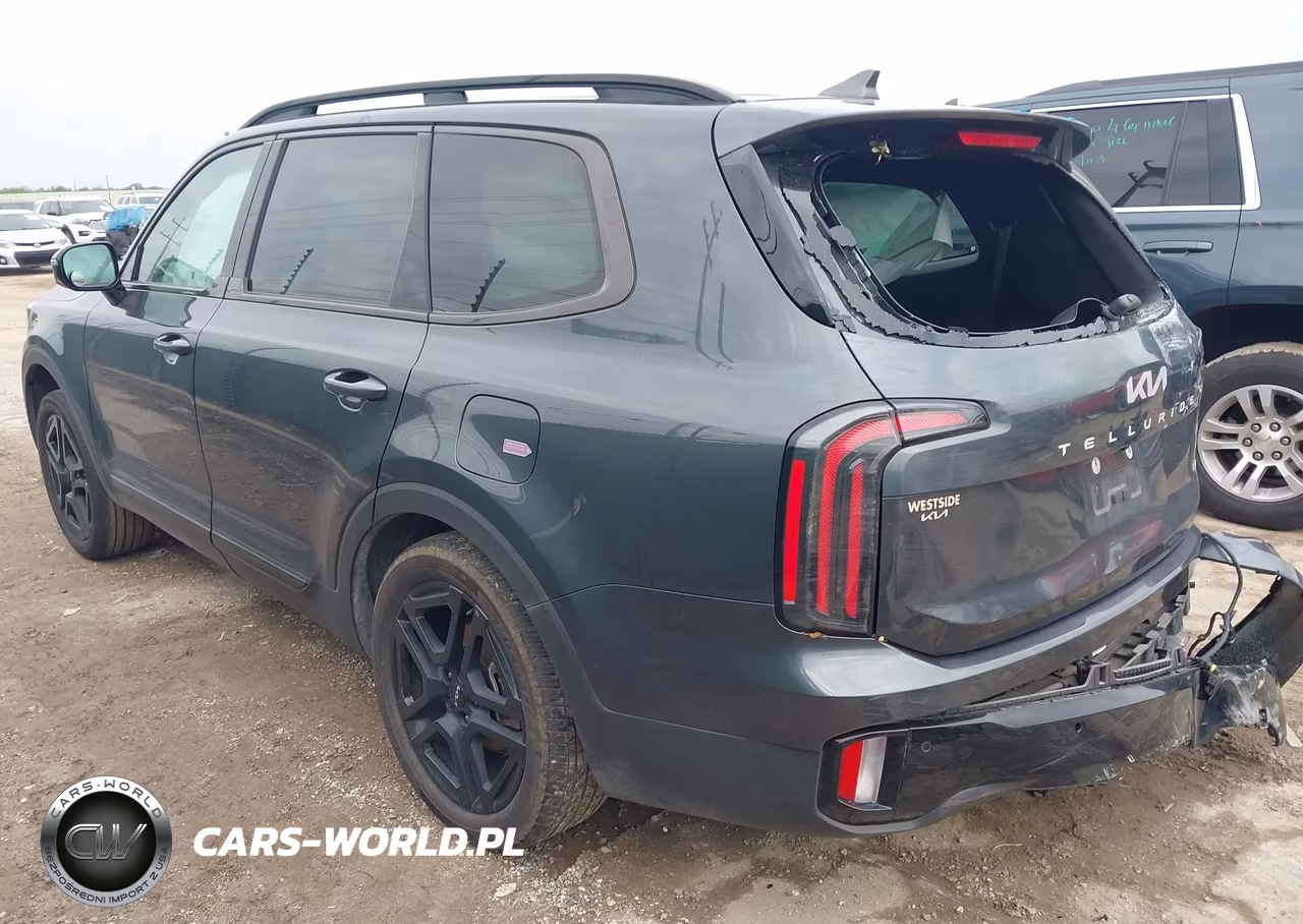 2024 Kia Telluride Sx X-Line VIN:5XYP5DGC2RG532350 - 3