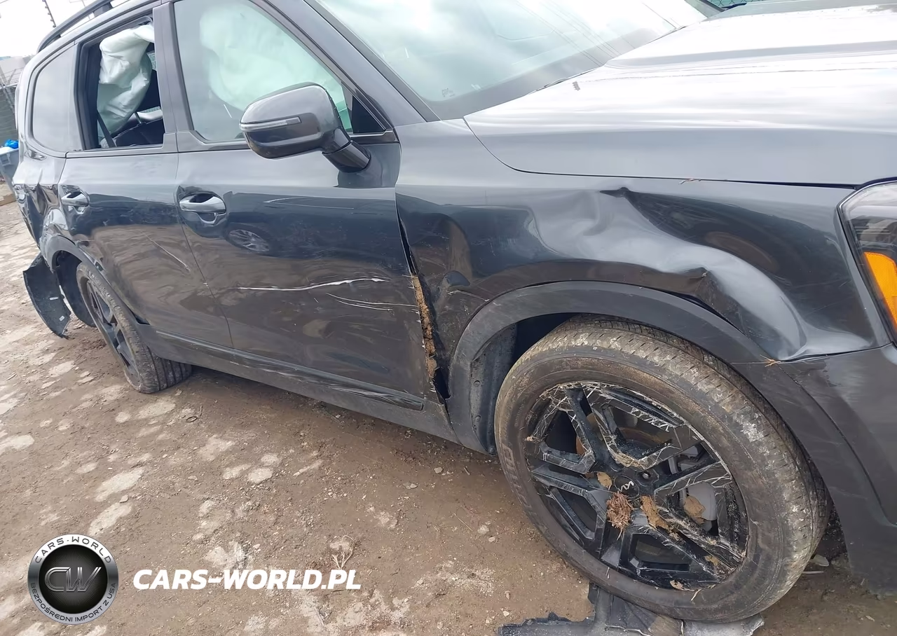 2024 Kia Telluride Sx X-Line VIN:5XYP5DGC2RG532350 - 6