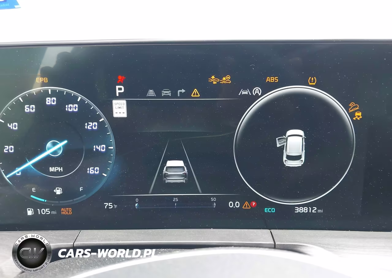 2024 Kia Telluride Sx X-Line VIN:5XYP5DGC2RG532350 - 7