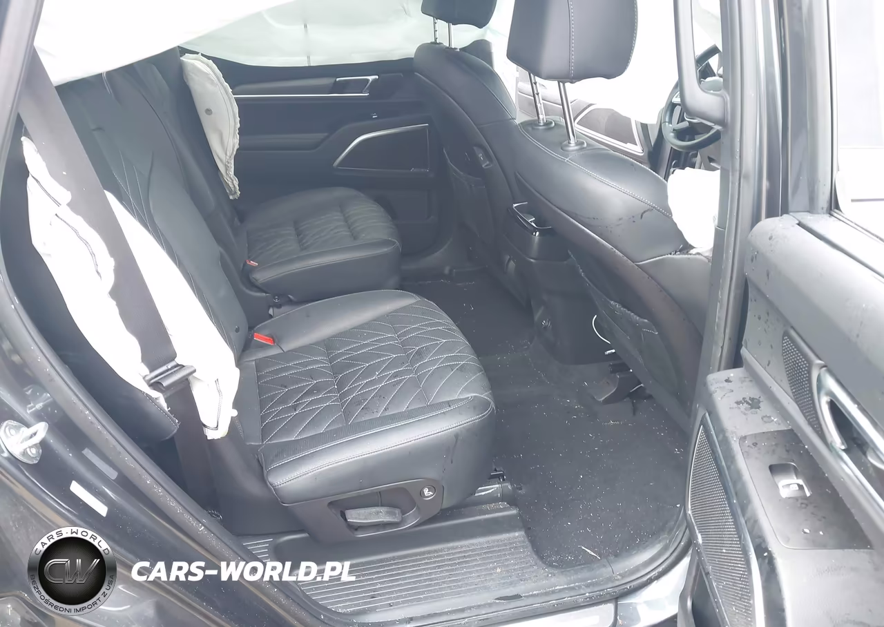 2024 Kia Telluride Sx X-Line VIN:5XYP5DGC2RG532350 - 8
