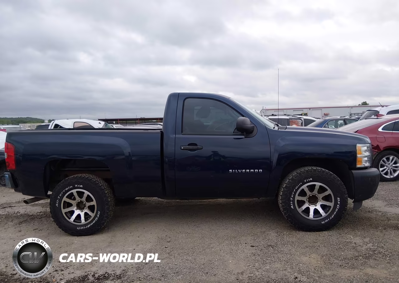 2010 Chevrolet Silverado 1500 Work Truck VIN:1GCPCPEX8AZ197856 - 12