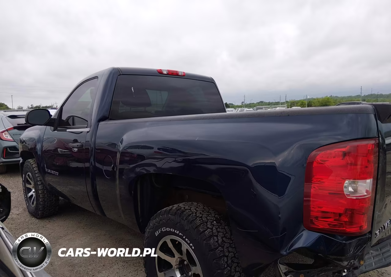 2010 Chevrolet Silverado 1500 Work Truck VIN:1GCPCPEX8AZ197856 - 13