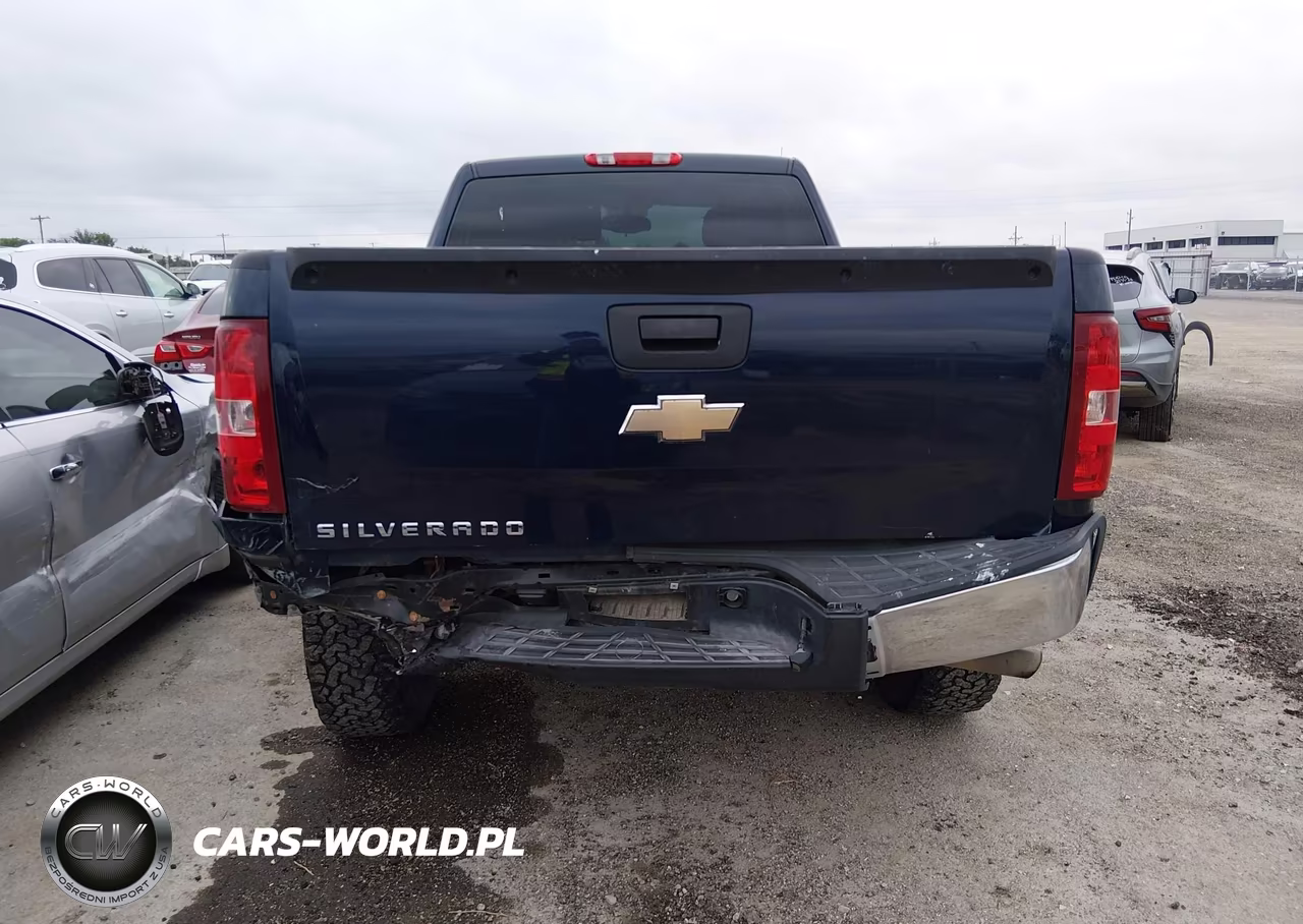 2010 Chevrolet Silverado 1500 Work Truck VIN:1GCPCPEX8AZ197856 - 15