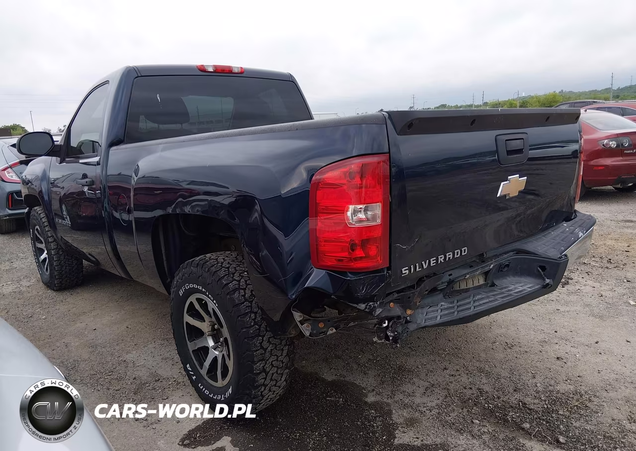 2010 Chevrolet Silverado 1500 Work Truck VIN:1GCPCPEX8AZ197856 - 3