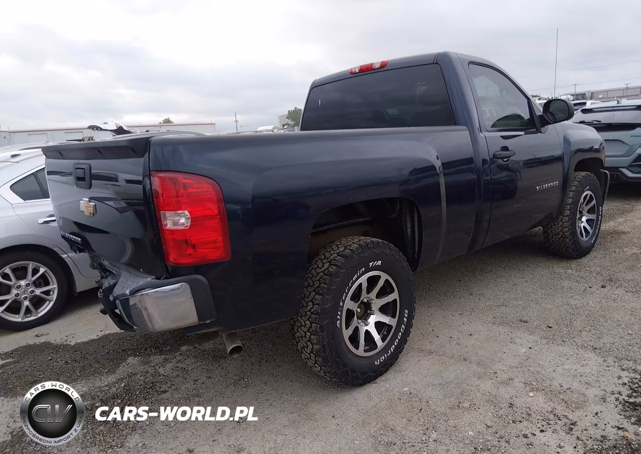 2010 Chevrolet Silverado 1500 Work Truck VIN:1GCPCPEX8AZ197856 - 4