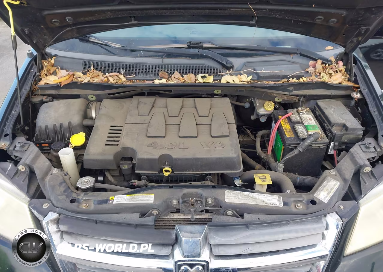 2010 Dodge Grand Caravan Sxt VIN:2D4RN5DX4AR290069 - 10