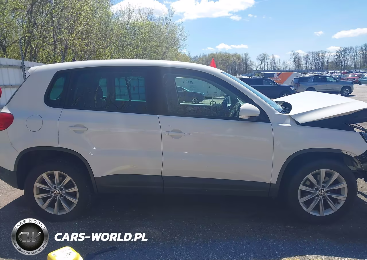 2014 Volkswagen Tiguan Se VIN:WVGBV3AX8EW512113 - 13
