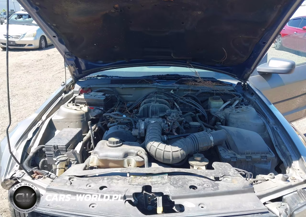 2005 Ford Mustang VIN:1ZVFT84N555199575 - 10