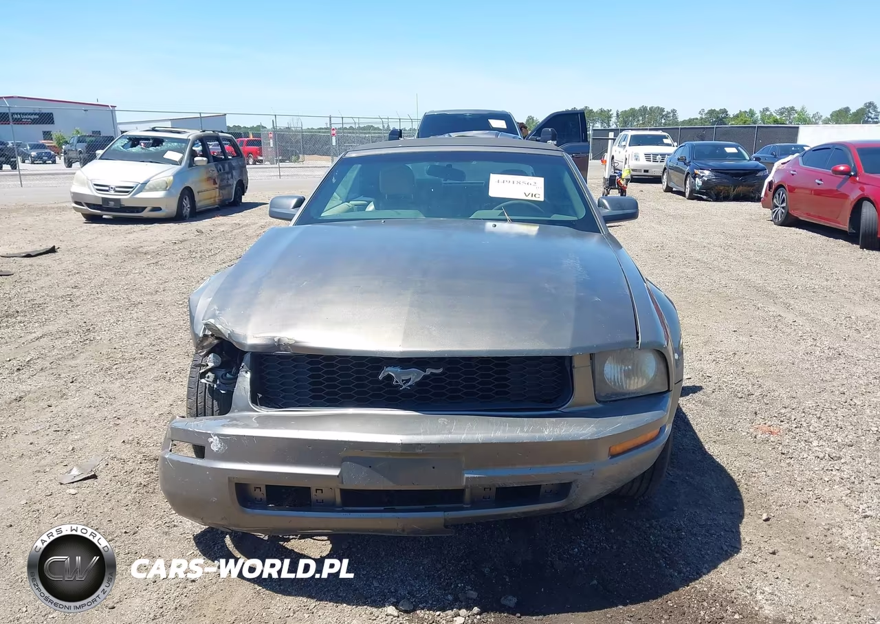 2005 Ford Mustang VIN:1ZVFT84N555199575 - 13