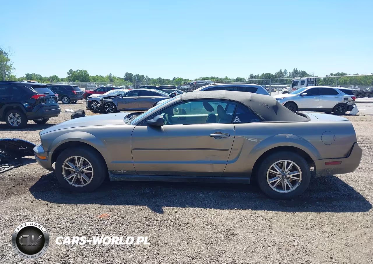 2005 Ford Mustang VIN:1ZVFT84N555199575 - 15