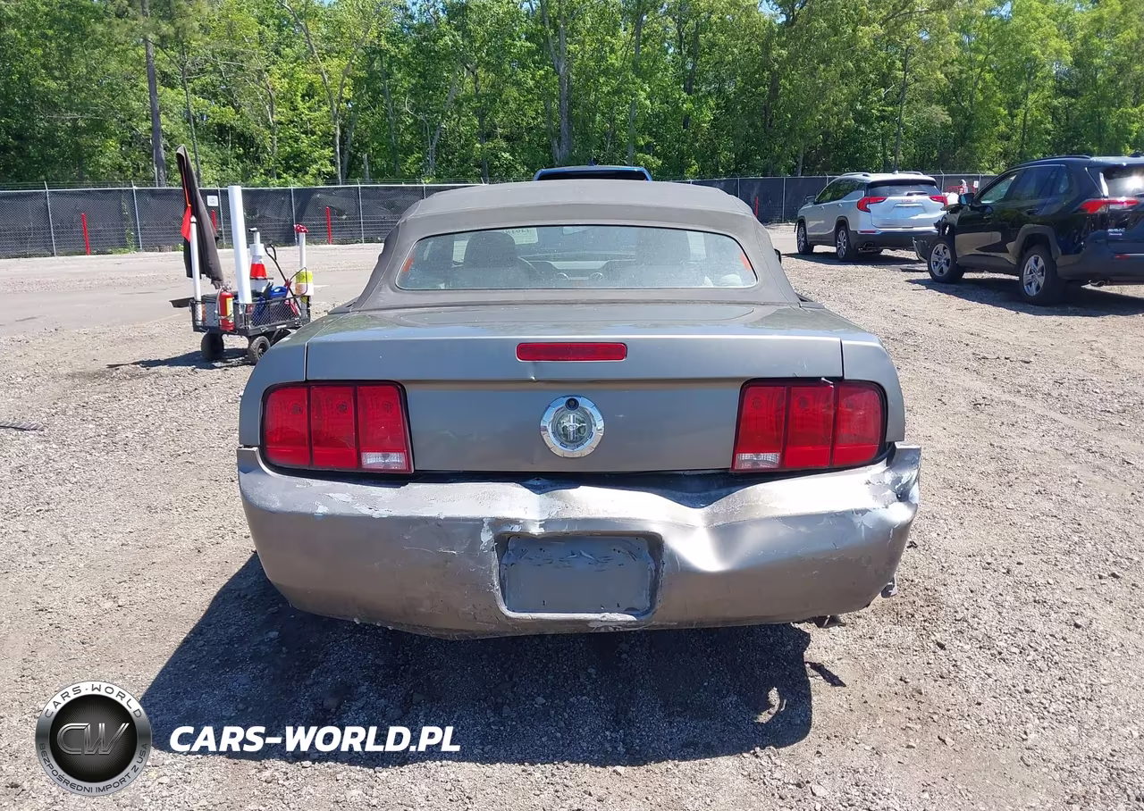 2005 Ford Mustang VIN:1ZVFT84N555199575 - 17