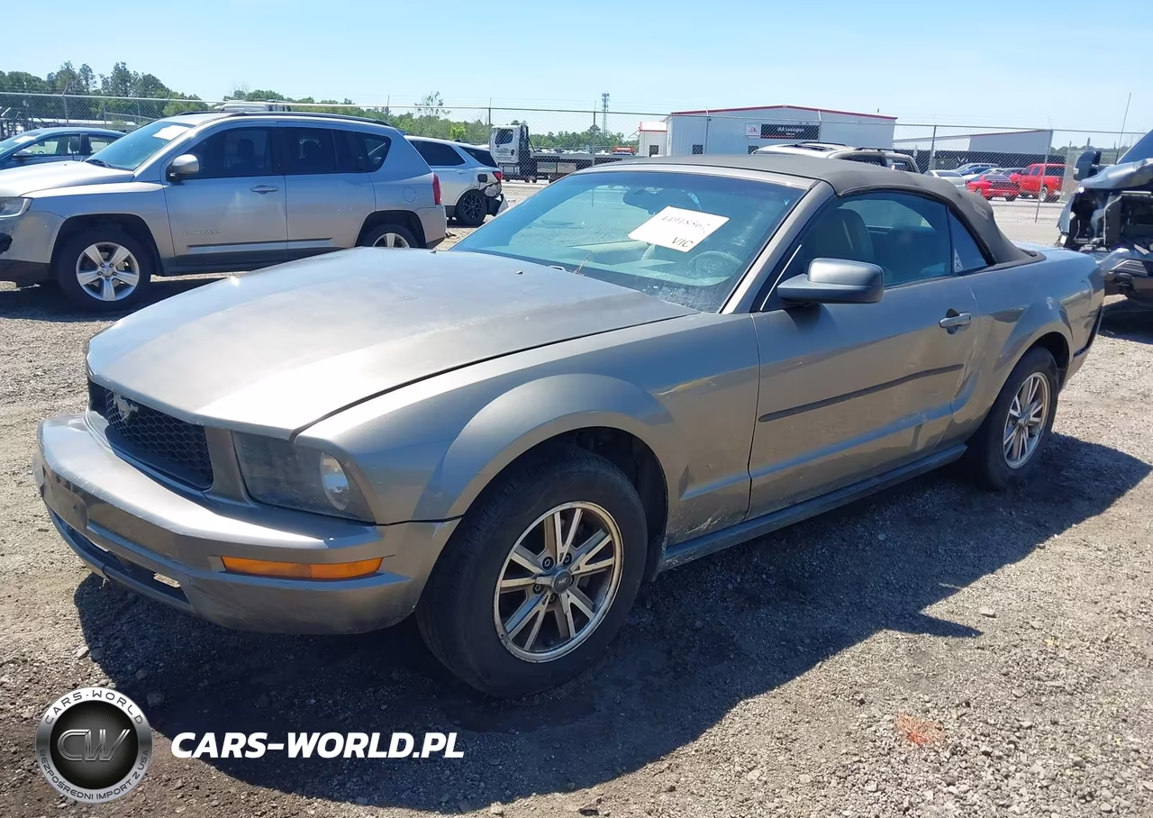 2005 Ford Mustang VIN:1ZVFT84N555199575 - 2