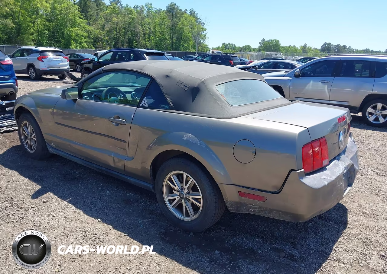 2005 Ford Mustang VIN:1ZVFT84N555199575 - 3