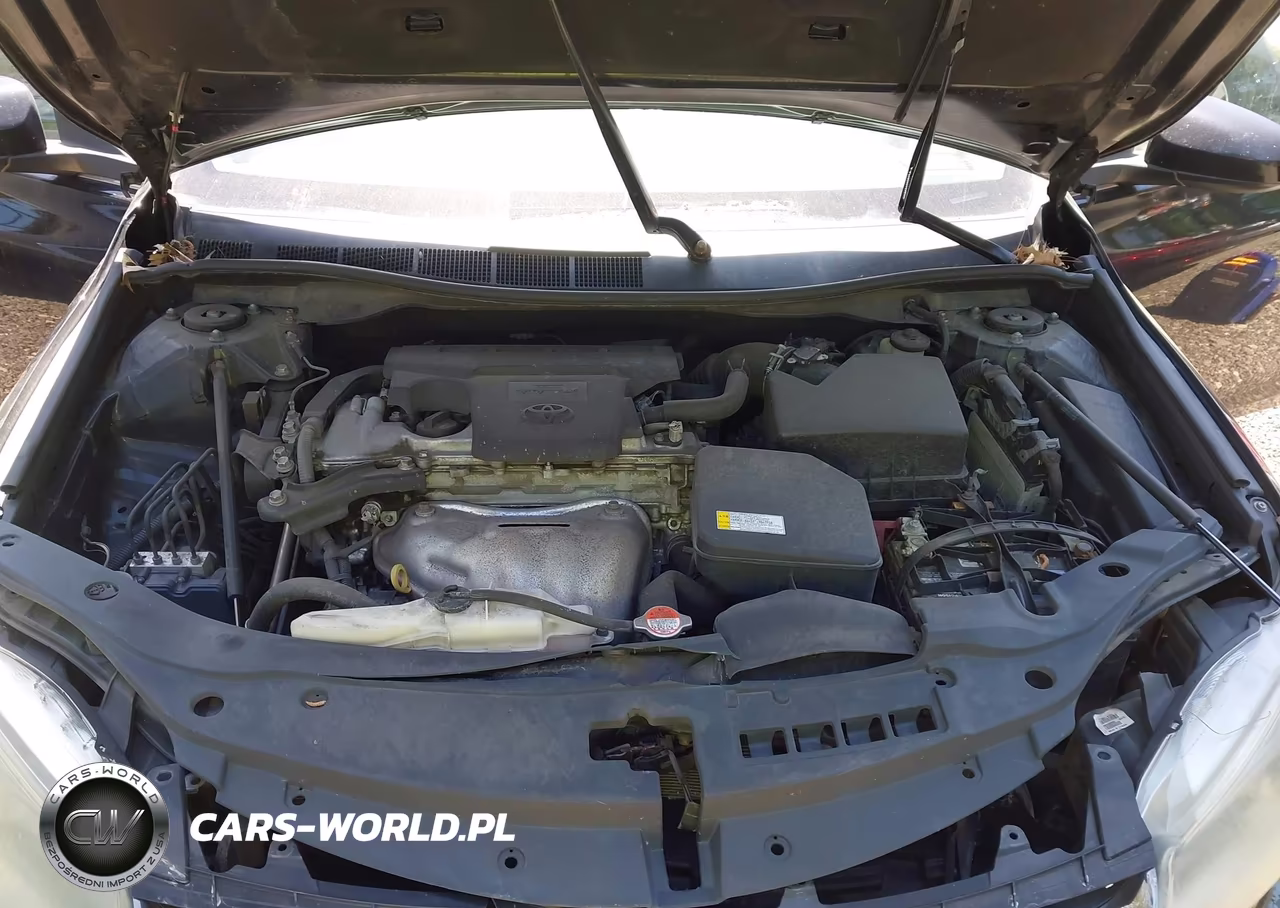 2016 Toyota Camry Se VIN:4T1BF1FK2GU541832 - 10
