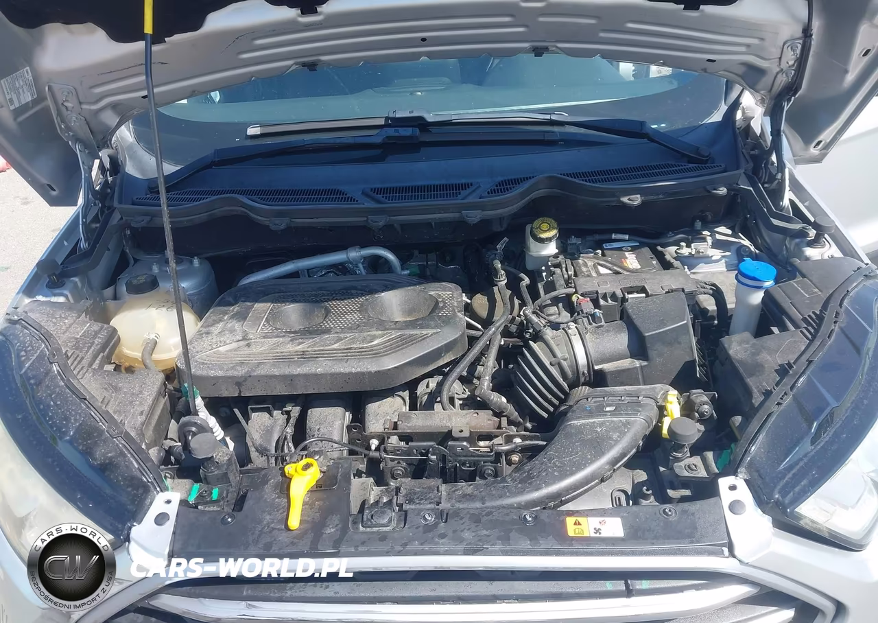 2019 Ford Ecosport Se VIN:MAJ6S3GL1KC253874 - 10