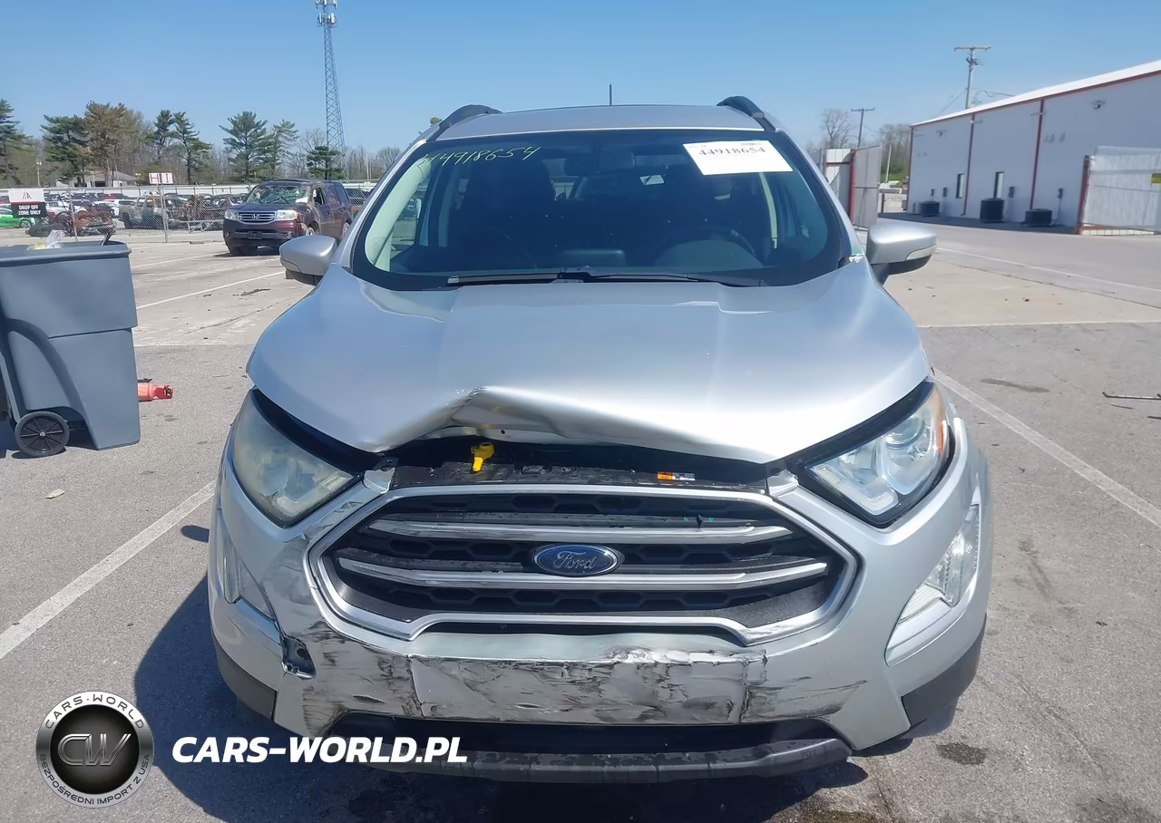 2019 Ford Ecosport Se VIN:MAJ6S3GL1KC253874 - 12