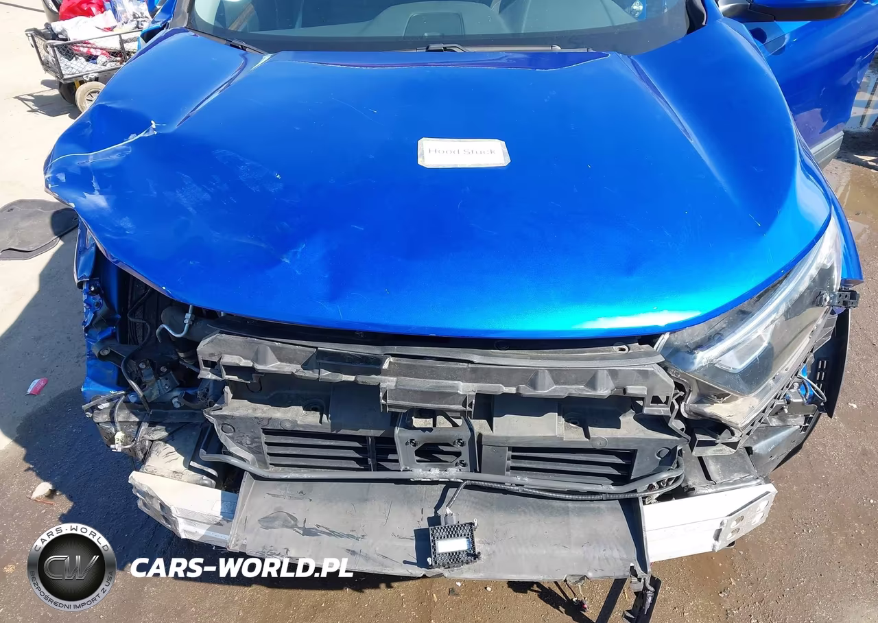 2020 Honda Cr-V Awd Ex VIN:7FARW2H56LE009703 - 10