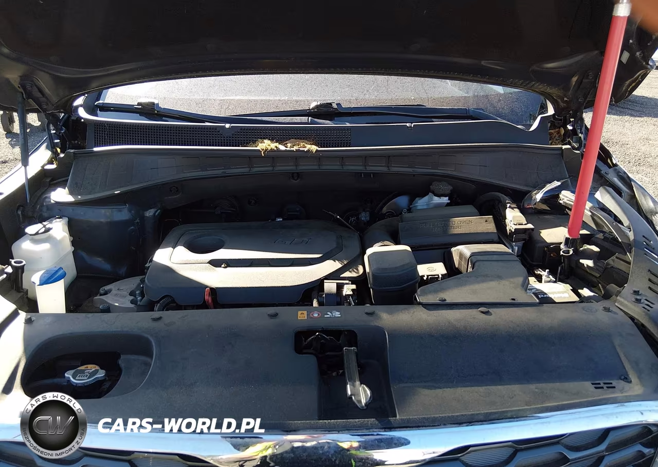 2020 Kia Sorento 2.4L Lx VIN:5XYPG4A32LG709280 - 10