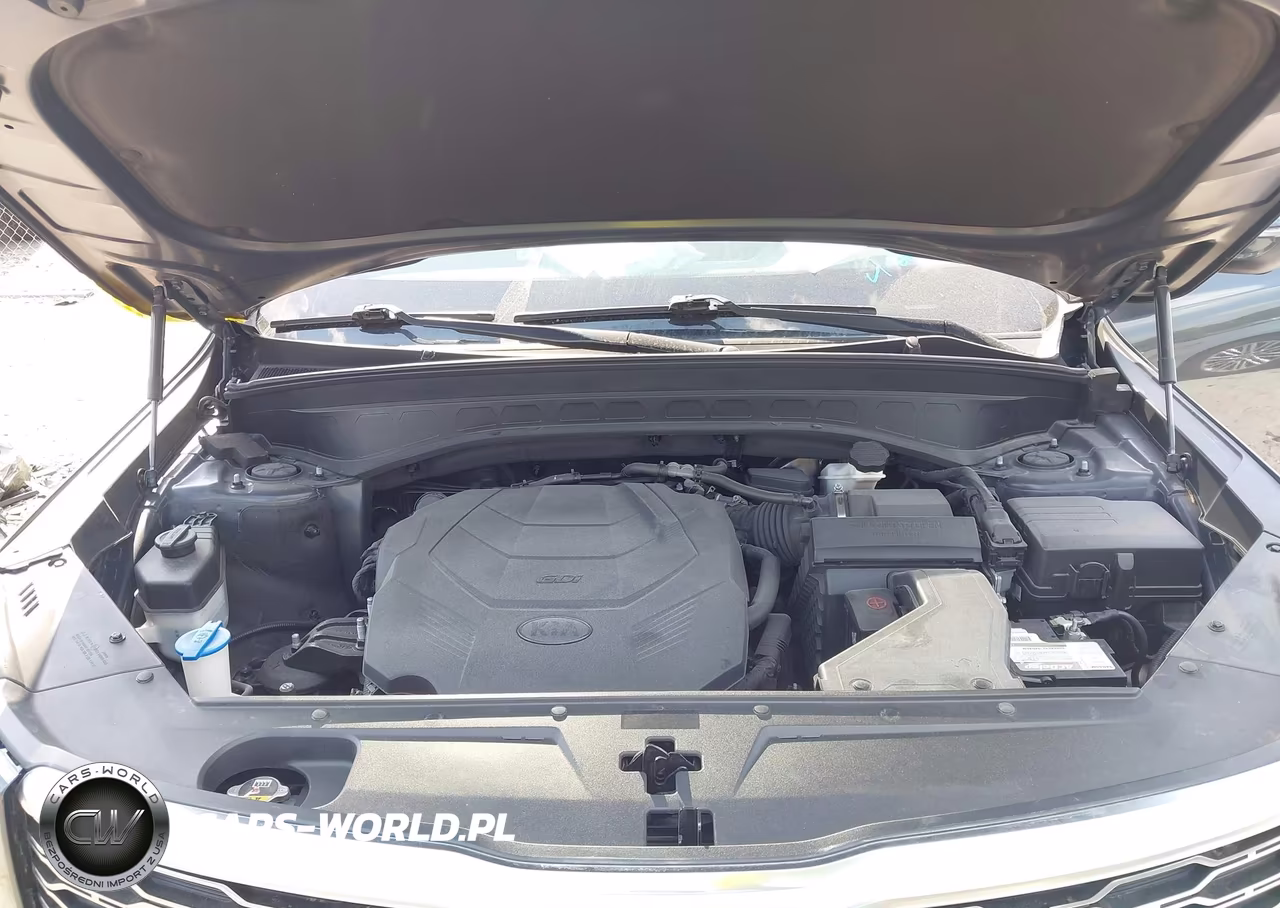 2020 Kia Telluride Ex VIN:5XYP3DHC8LG002847 - 10