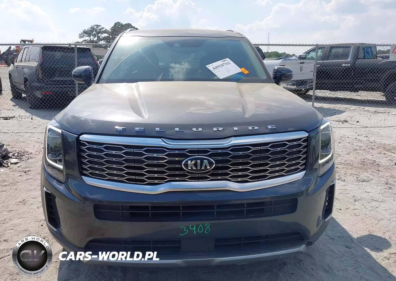 2020 Kia Telluride Ex VIN:5XYP3DHC8LG002847 - 12