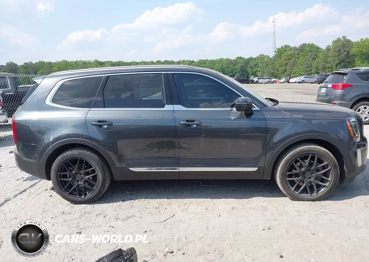 2020 Kia Telluride Ex VIN:5XYP3DHC8LG002847 - 13