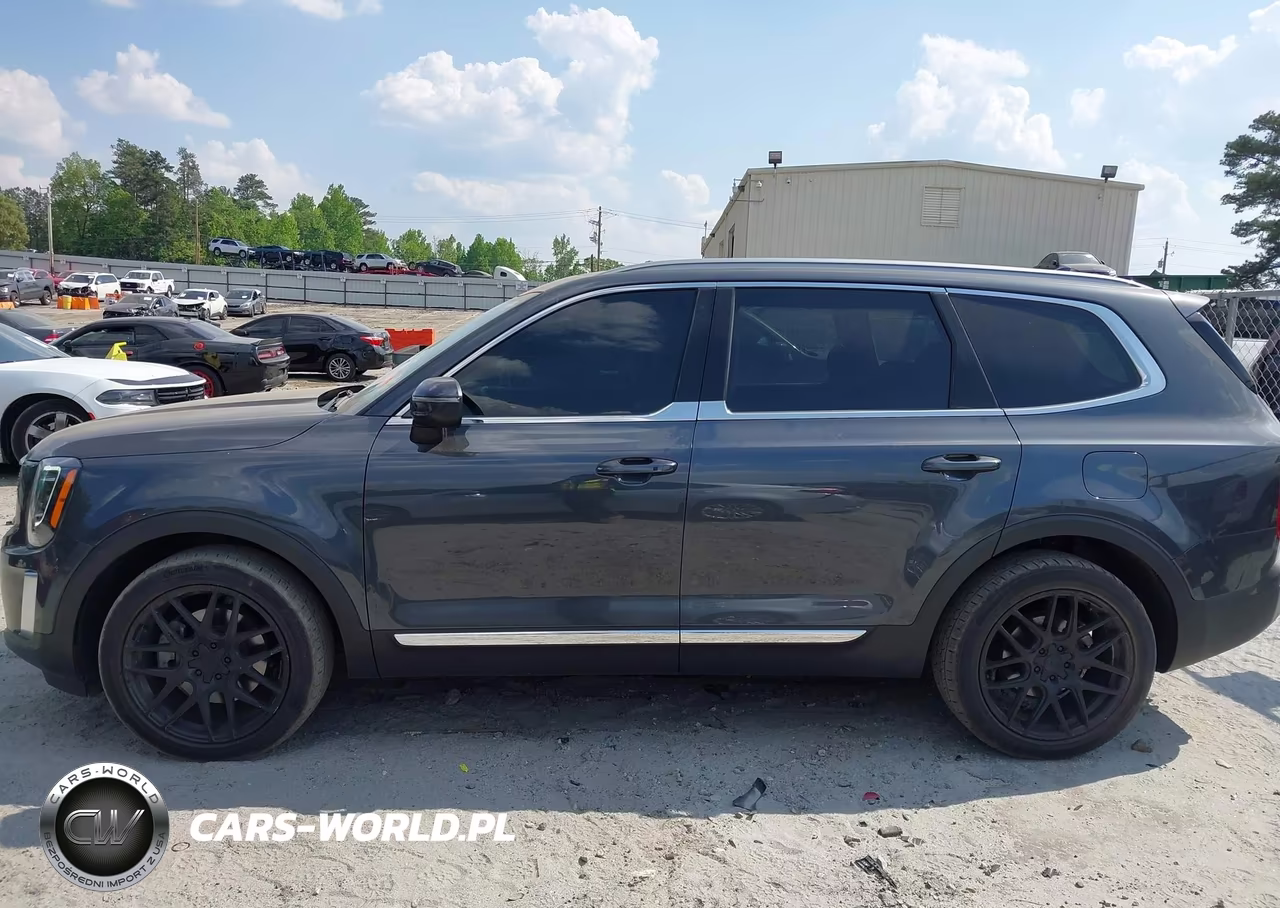 2020 Kia Telluride Ex VIN:5XYP3DHC8LG002847 - 14
