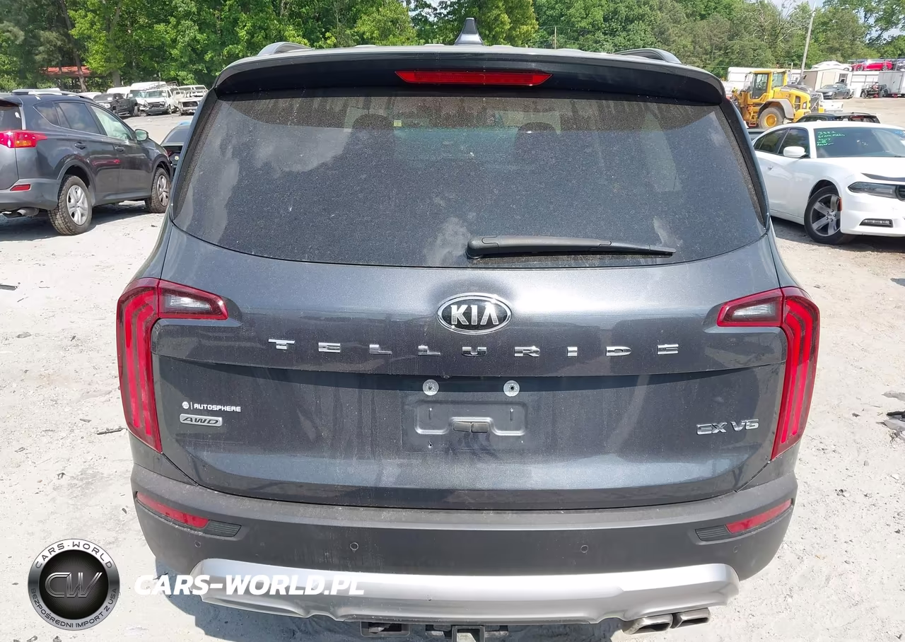 2020 Kia Telluride Ex VIN:5XYP3DHC8LG002847 - 16