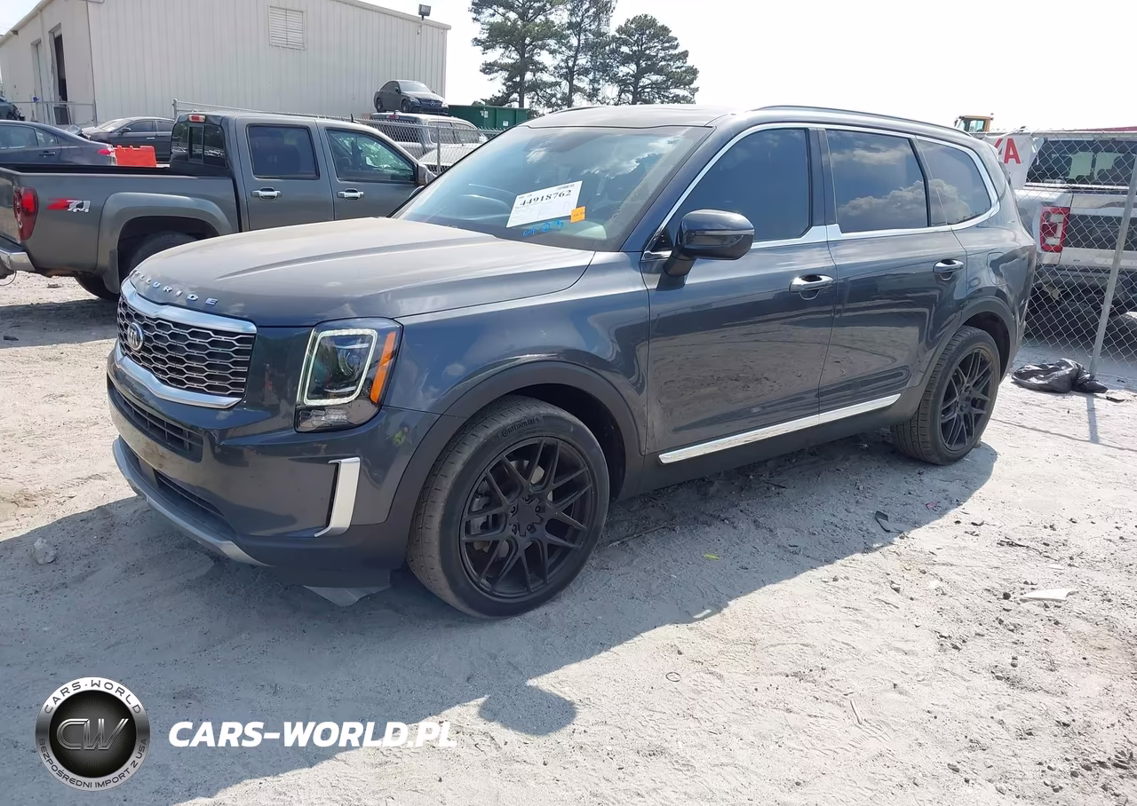 2020 Kia Telluride Ex VIN:5XYP3DHC8LG002847 - 2