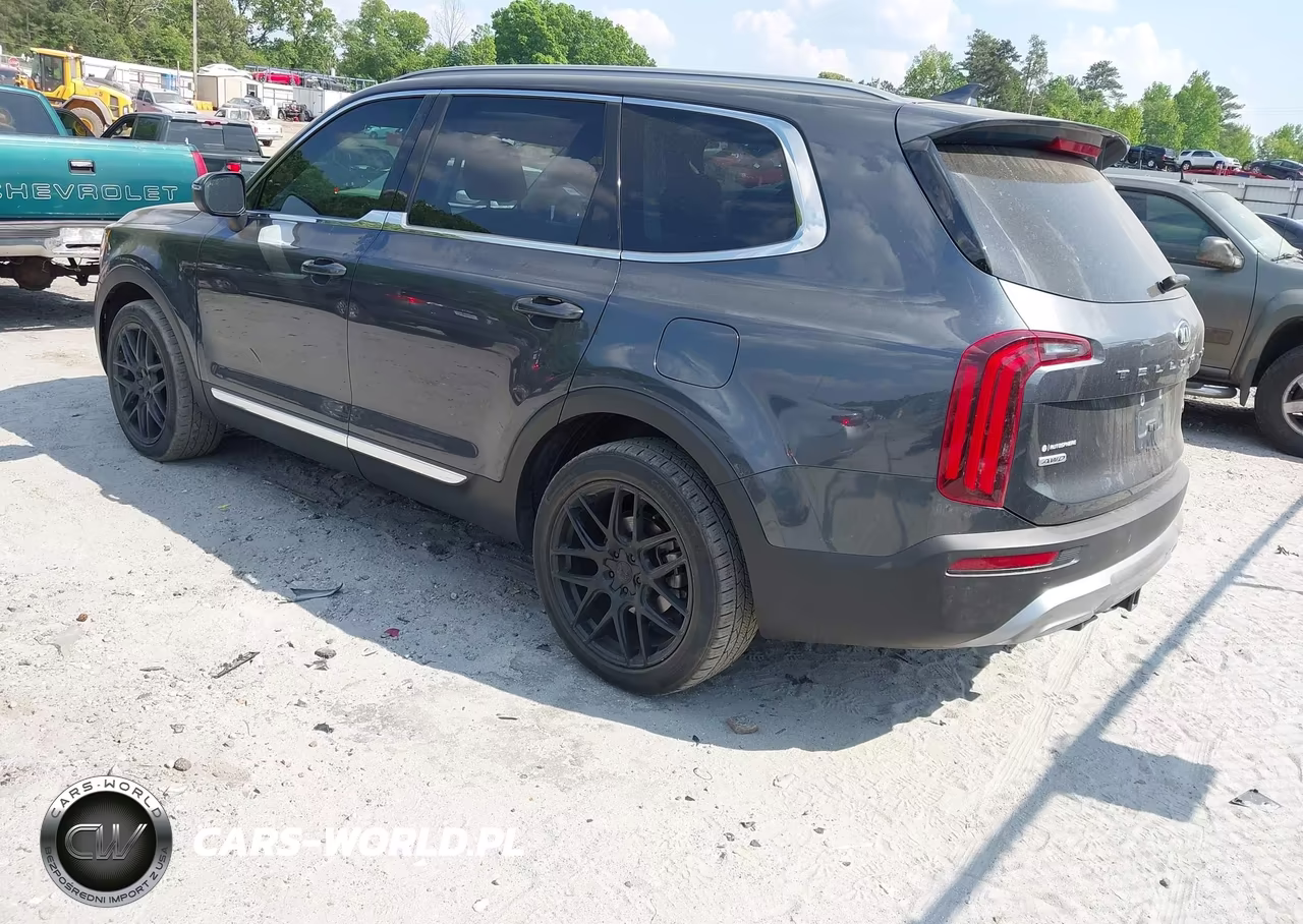 2020 Kia Telluride Ex VIN:5XYP3DHC8LG002847 - 3