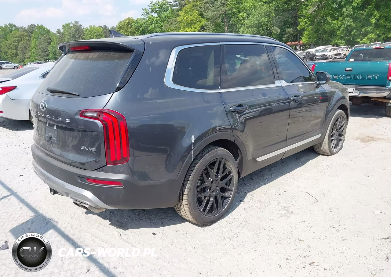 2020 Kia Telluride Ex VIN:5XYP3DHC8LG002847 - 4