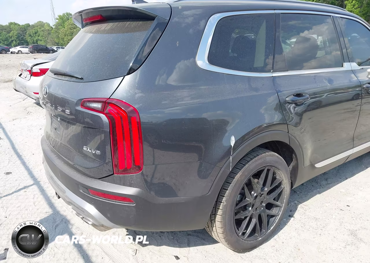 2020 Kia Telluride Ex VIN:5XYP3DHC8LG002847 - 6