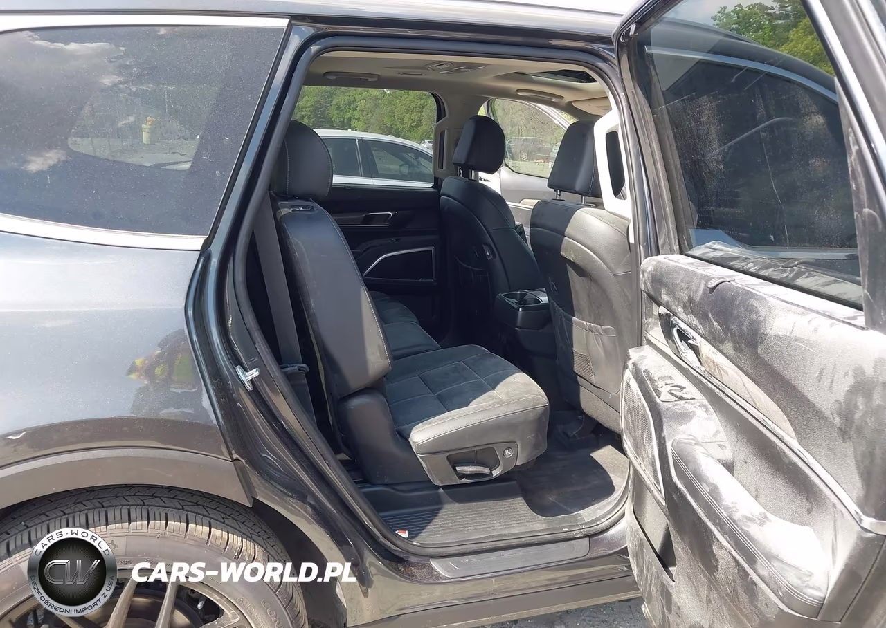 2020 Kia Telluride Ex VIN:5XYP3DHC8LG002847 - 8