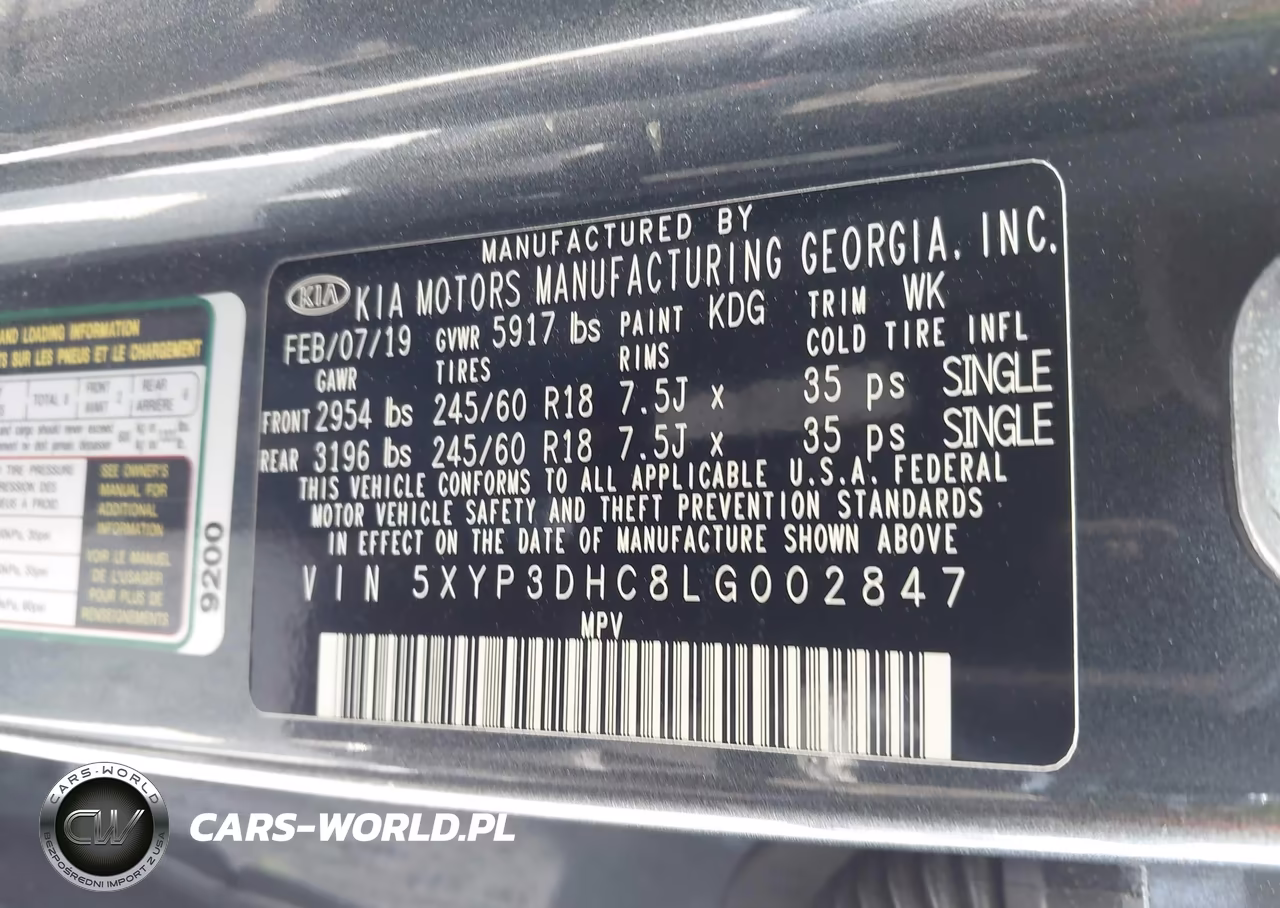 2020 Kia Telluride Ex VIN:5XYP3DHC8LG002847 - 9