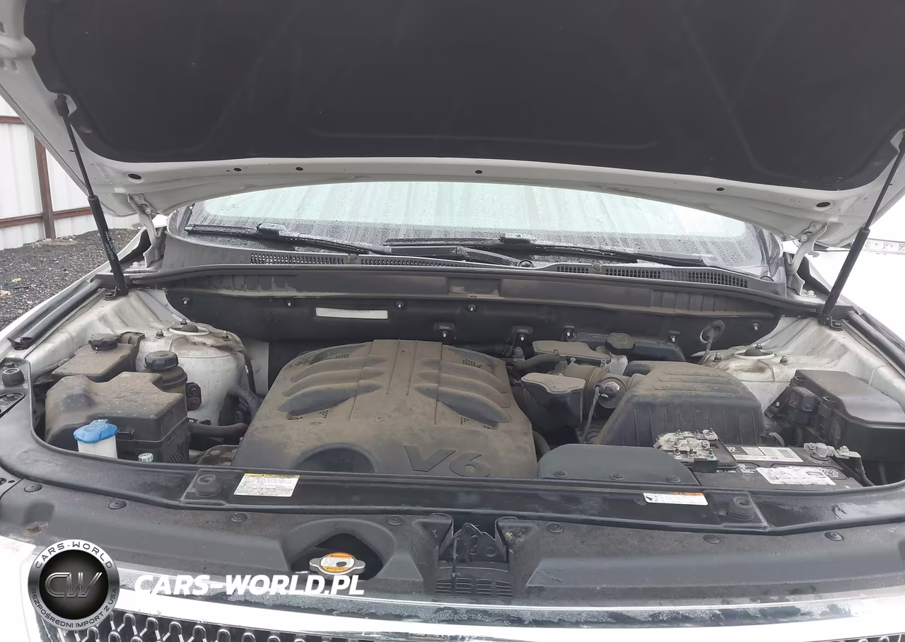 2011 Hyundai Veracruz Limited VIN:KM8NUDCC6BU176744 - 10